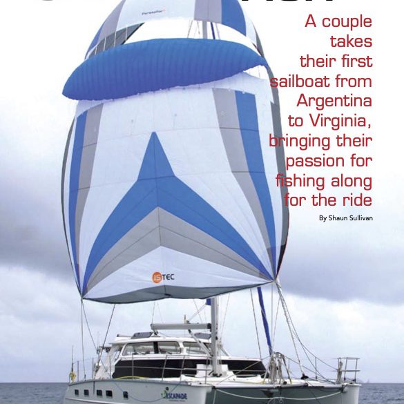 Antares sailing catamaran